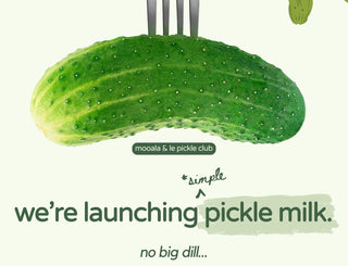 April Fools' Day 2025 Pranks: Grass Keyboard, Catnip Car Seats, 5-Year World Cruise